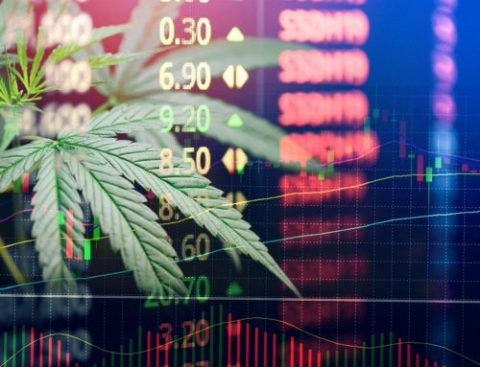 XP lança fundo de maconha com aplicação mínima de R$ 500