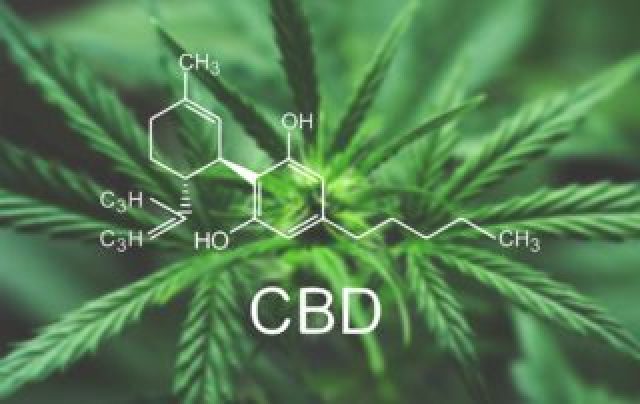 gallery/ff7e0c093139aae3db75a8a19e65eb4d_keting-cbd-cannabis-320x202