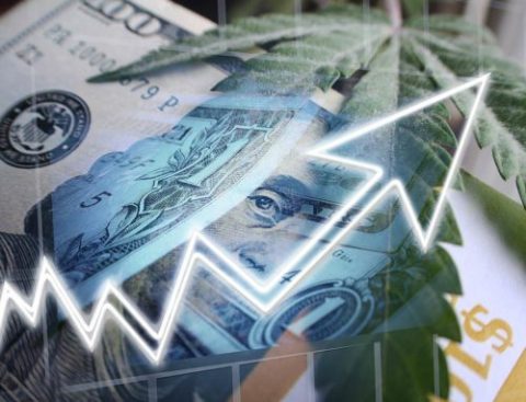 Conheça as razões para entrar no mercado europeu de Cannabis