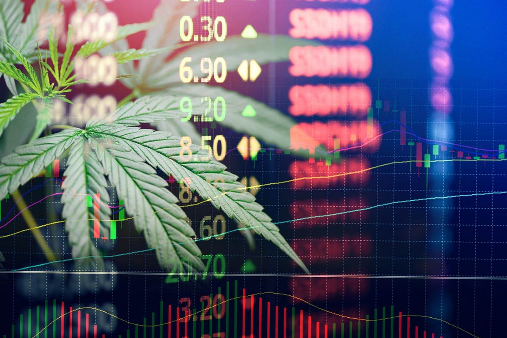 gallery/wp-content-uploads-2019-12-blog-XP-investimento-cannabis