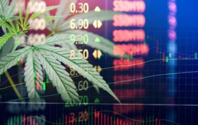 gallery/1652eb48e840e7dd85aa465f8ae80ffb_vestimento-cannabis-320x202