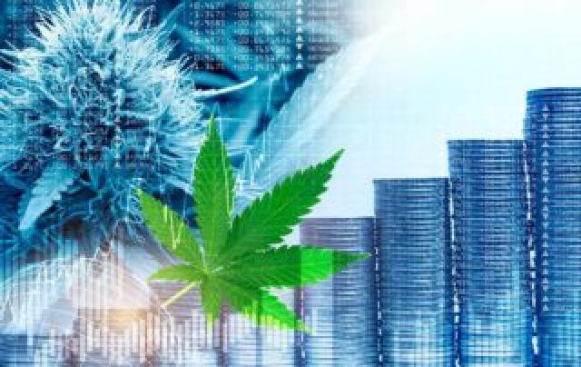 gallery/80d59463d1941454a17acd2737447c8c_-cannabis-medicinal-320x202