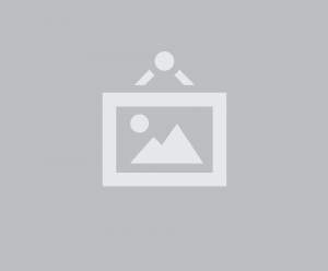 gallery/no image