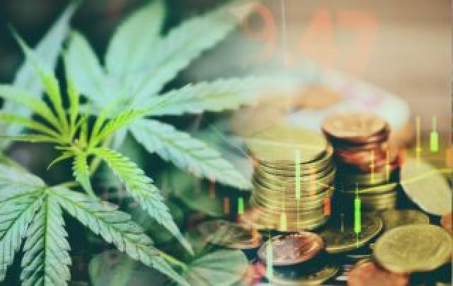 gallery/cbabebfdb488d81fcc60786b4387256f_em-cannabis-maconha-320x202